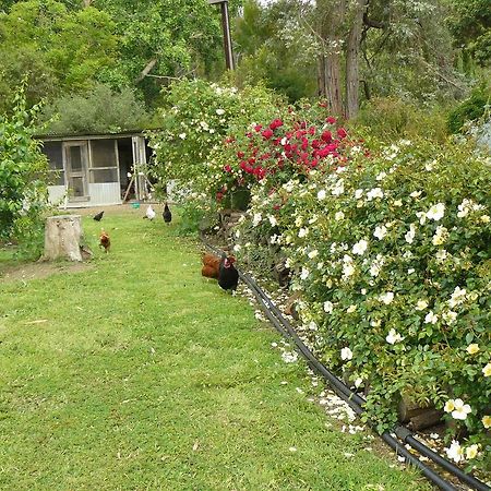 Camawald Coonawarra Cottage B&B الغرفة الصورة